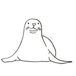Mediterranean Monk Seal - Colouring Activity