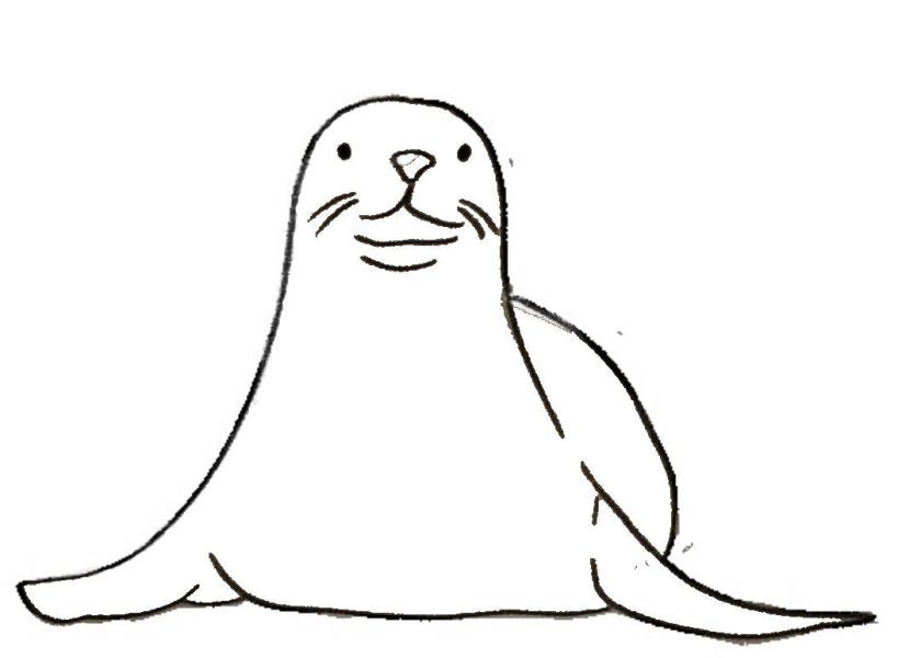 Mediterrenean monk seal colouring page