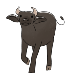 Tamaraw colouring page