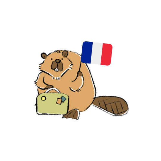 Mini Kit - France