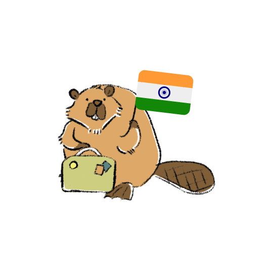 Mini Kit - India