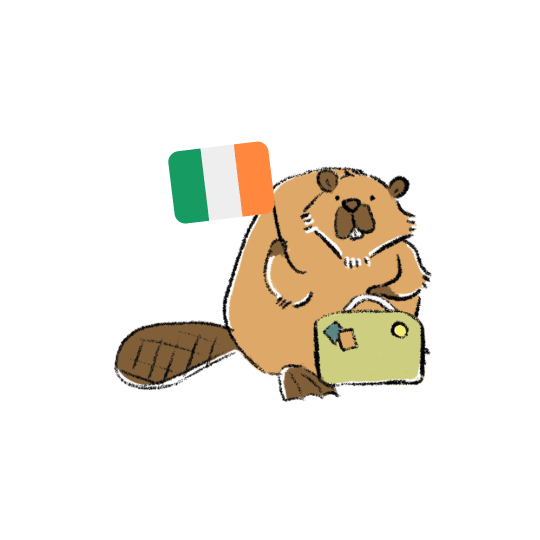 Mini Kit - Ireland