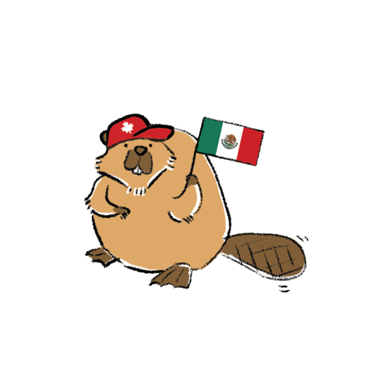 Mini Kit - Mexico