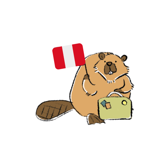 Mini Kit - Peru