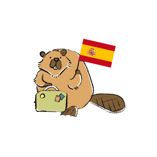 Mini Kit - Spain
