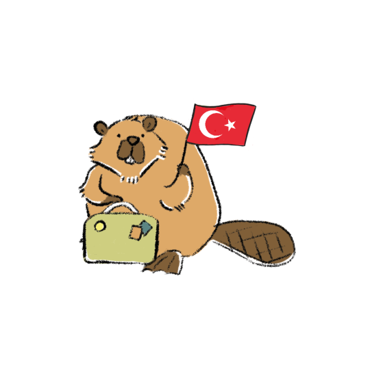 Mini Kit - Türkiye
